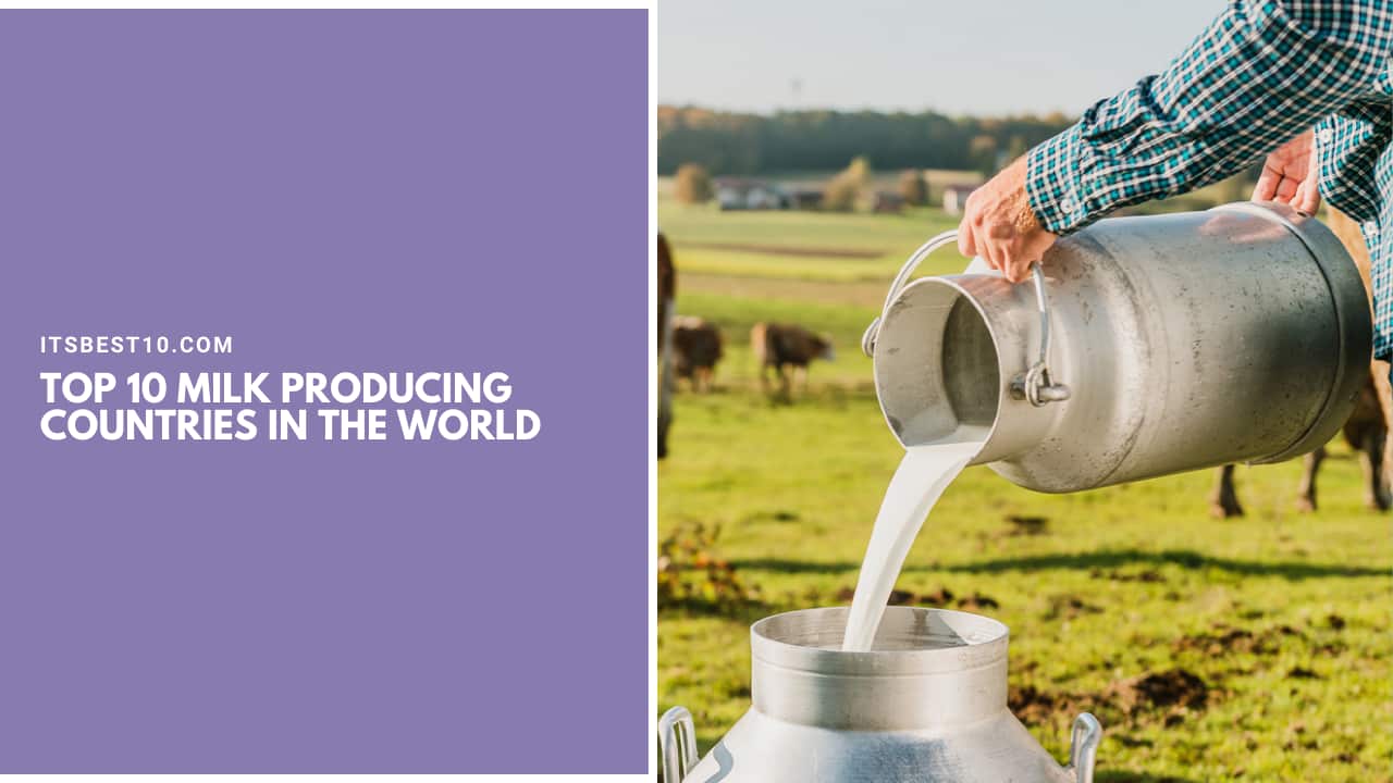 Top 10 Milk Producing Countries in the World