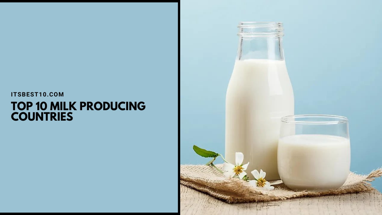 Top 10 Milk Producing Countries