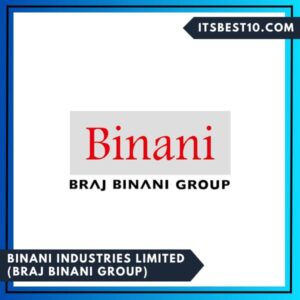 8. Binani Industries Limited (BRAJ Binani Group)