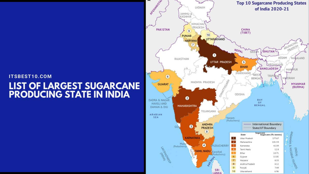 List of Largest Sugarcane Producing State in India