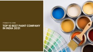 Top 10 Best Paint Company in India 2021